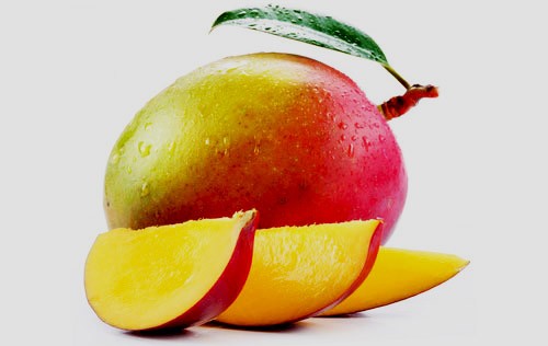 hayden mango fruit