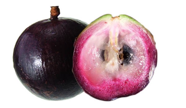 Purple Caimito Fruit