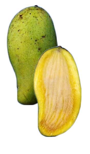 Okrung Mango Fruit