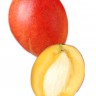 Tommy Atkins Fruit