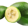 Pineapple Guava/Fieoja Tree