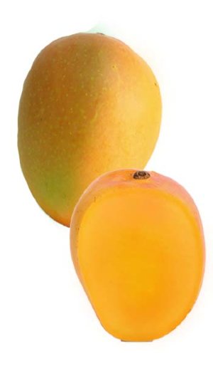 Mango Tree Orange Essence Designer Variety Grafted