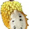 Rollina Fruit