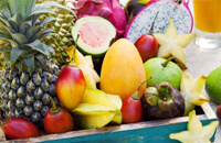 Fruit Trees