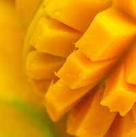 The Sweet Benefits of Mango - Why Eating Mango is a Must!