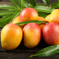 National Mango Day!