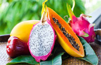 Tropical Fruit Trees