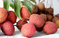 Lychee Trees