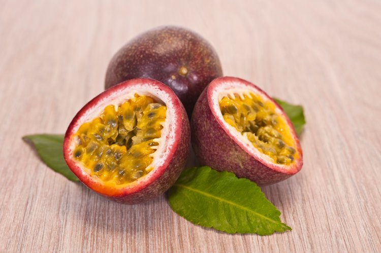 Passion Fruit Vine Purple Possum Variety Passion Fruit Vine Purple Possum Variety