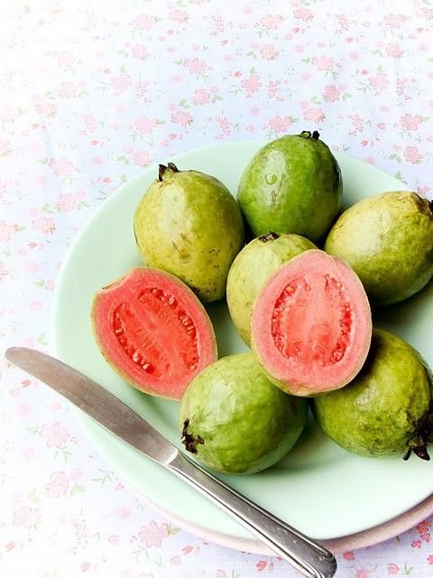 Guava Tree Pink Variety