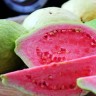 Pink Guava Fruit
