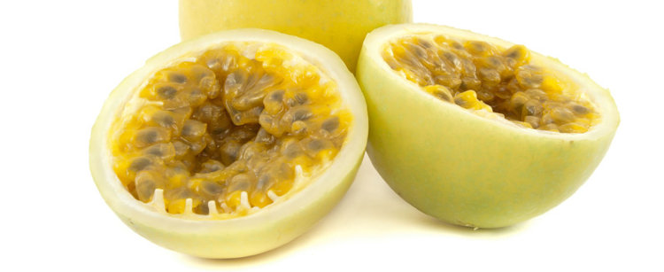 Passion Fruit Vine Sweet Sunrise Yellow Variety Passion Fruit Vine Sweet Sunrise Yellow Variety