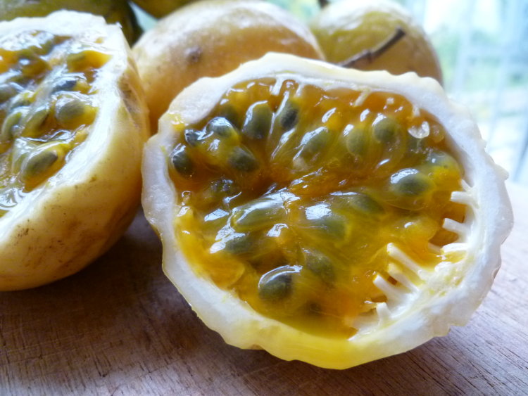 Yellow Passion Fruit
 Yellow Passion Fruit
