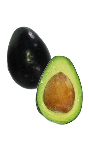 Brazos Belle Avocado Fruit