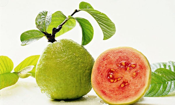Red Guava Fruit
 Red Guava Fruit