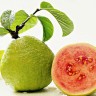 Red Guava Fruit
