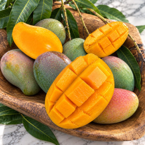 Mango Tree East Indian Variety Grafted