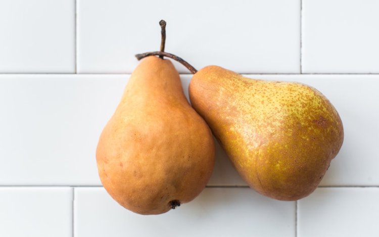Pear Tree Florida Home Variety Grafted Pear Tree Florida Home Variety Grafted