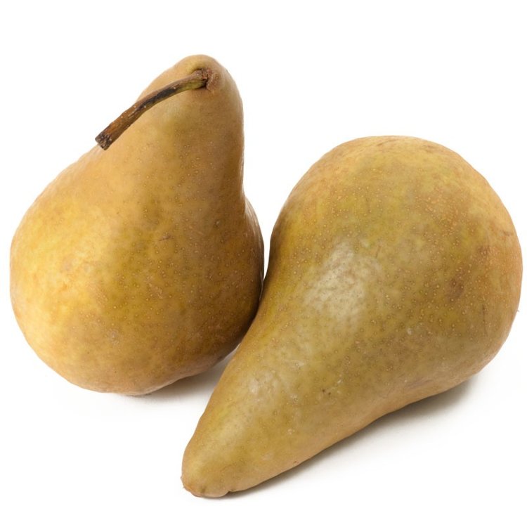 Pear Tree Florida Home Variety Grafted Pear Tree Florida Home Variety Grafted