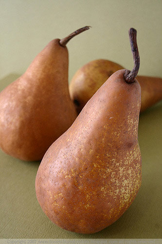 Pear Tree Florida Home Variety Grafted Pear Tree Florida Home Variety Grafted