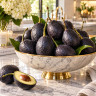 Avocado Tree Super Hass Variety Grafted Avocado Tree Super Hass Variety Grafted