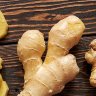 Ginger Edible Spice Plant