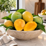 Fairchild Fruit

