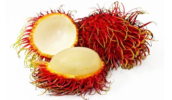 Rambutan Fruit Rambutan Fruit