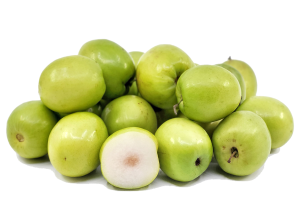 Jujube Tree Indian Green Thornless Variety Grafted