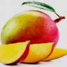 hayden mango fruit