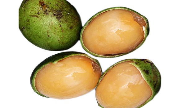 Genip Fruit Genip Fruit