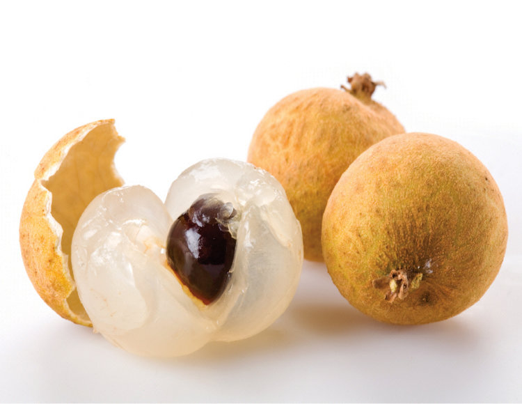 Longan Tree Diamond River Variety Air-Layered Longan Tree Diamond River Variety Air-Layered