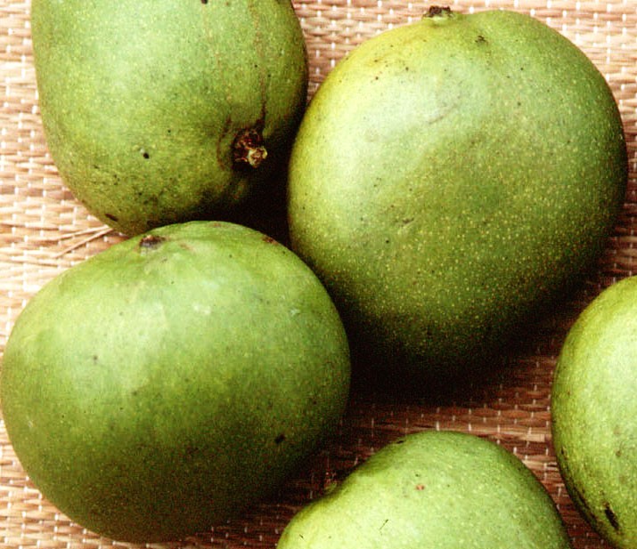 Ice Cream Mango Fruit