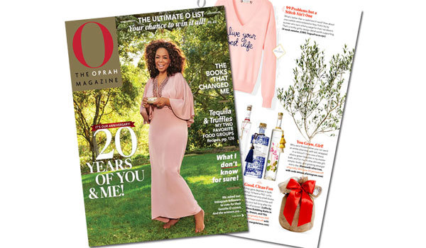 Olive Tree Koroneiki Variety