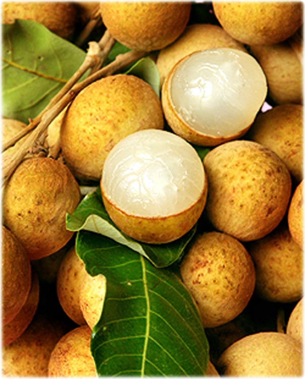 Kohala Longan Fruit Kohala Longan Fruit