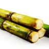 Sugar Cane Fruit