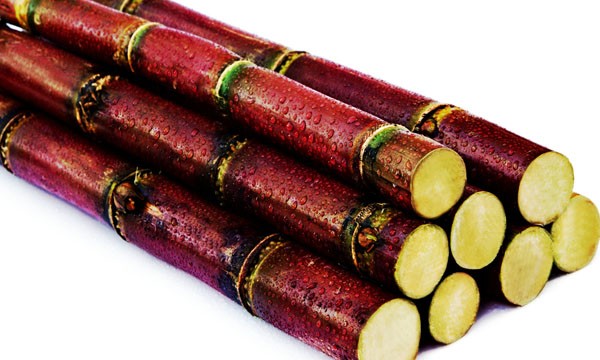 Red Sugar Cane Fruit