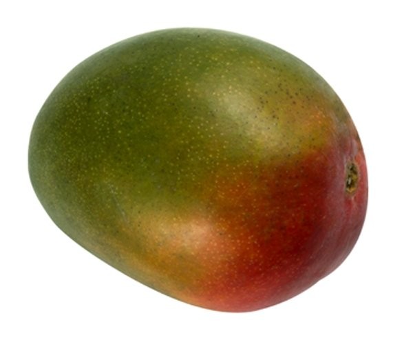 Kent Mango Fruit