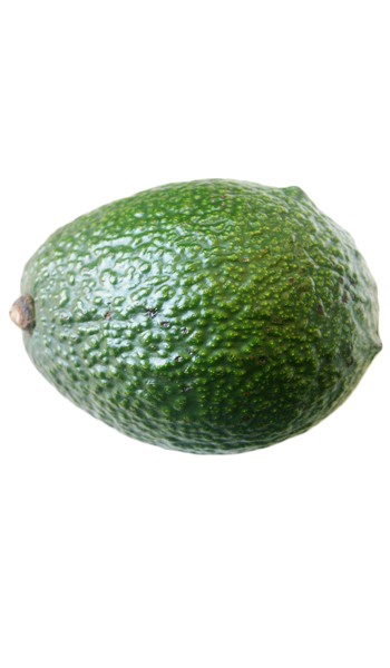 Fantastic Avocado Fruit