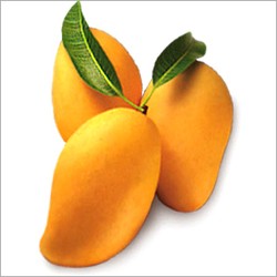 Neelum Mango Fruit