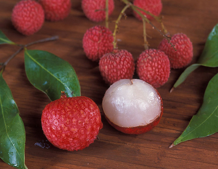 Lychee Tree Mauritius Variety Air-Layered Lychee Tree Mauritius Variety Air-Layered