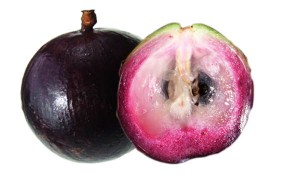 Caimito/ Star Apple Tree Purple Variety