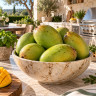 Mango Tree Okrung Variety Grafted