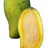 Okrung Mango Fruit
