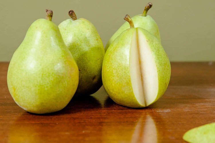 Pear Tree Hood Variety Grafted