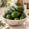 Avocado Tree Hall Variety Grafted