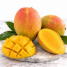 Mango Tree Angie Variety Grafted