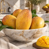 Mango Tree Lemon Zest Variety Grafted