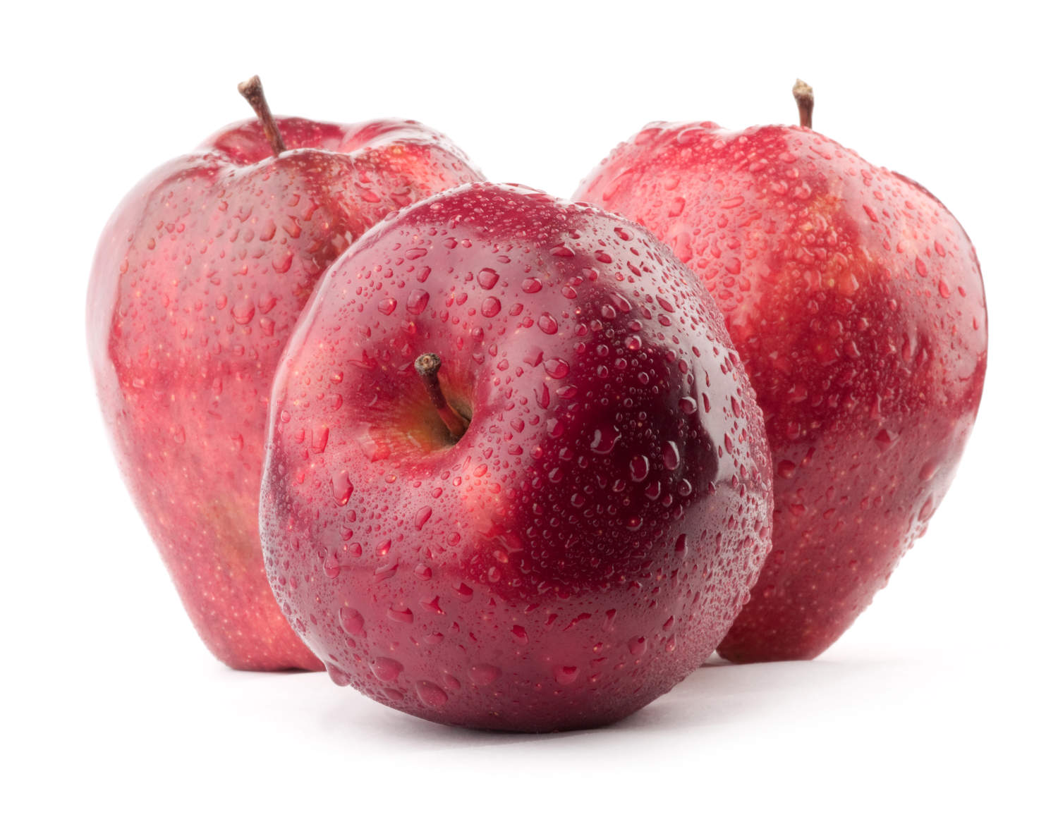 果物 Anna Apple Tree Anna Variety Grafted