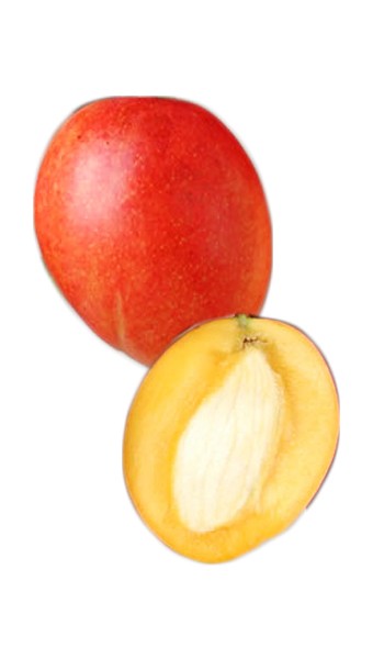 Tommy Atkins Fruit